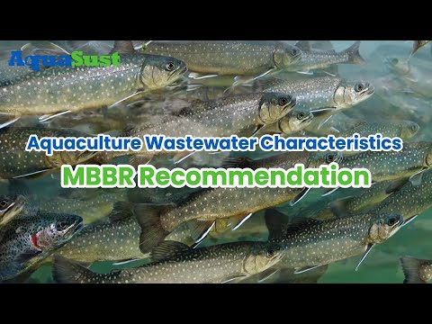 Aquaculture Wastewater Characteristics and MBBR Technology Recommendation