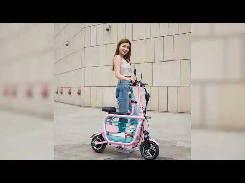 Eco-Friendly Commuting Revolutionized Meet the Foldable Pet Electric Bicycle