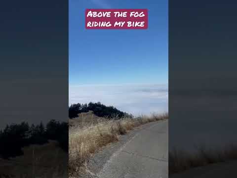 Above the fog on Mt Tamalpais cycling 7 sisters