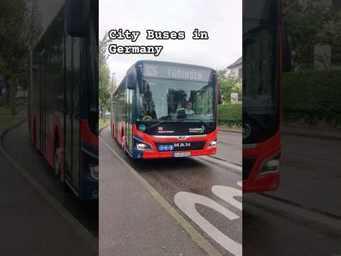 City Bus travel in Germany #germany #stuttgart #citybus #shorts